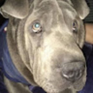 Meet your Posher, Beth